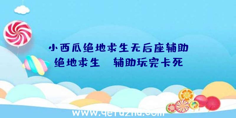 「小西瓜绝地求生无后座辅助」|绝地求生sk辅助玩完卡死